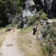 Illustration for article titled A hike with Toby and Mrs. IM at Willow Creek. (Angel Falls)
